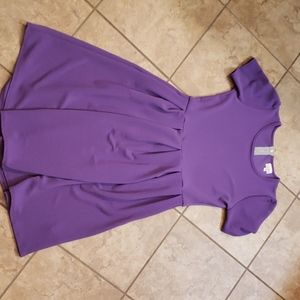 NWOT Amelia dress
